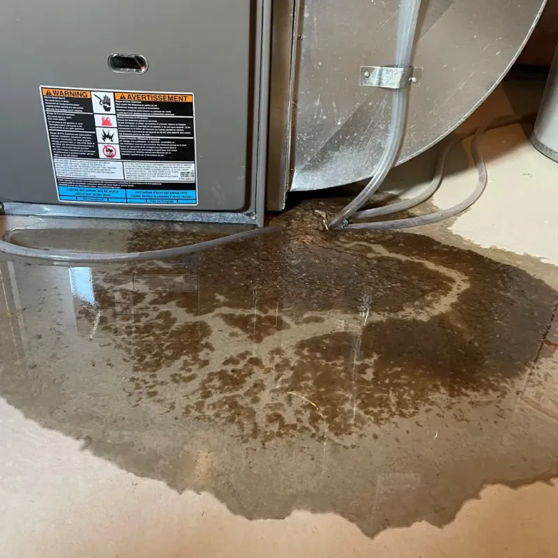 Appliance Leak Cleanup in Marshville, NC